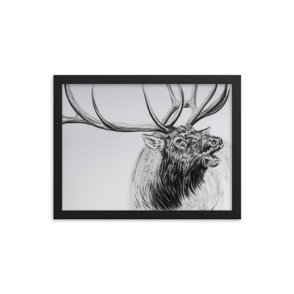 Framed print