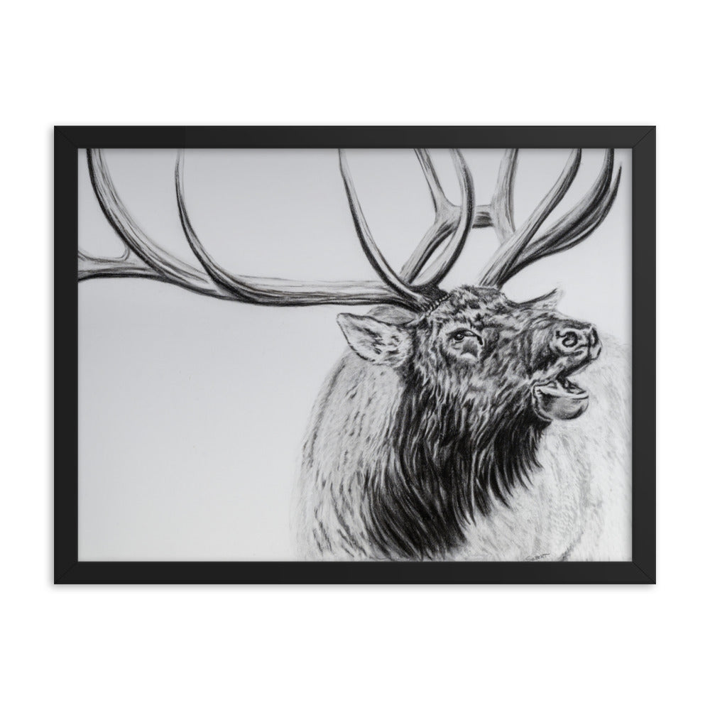 Framed print