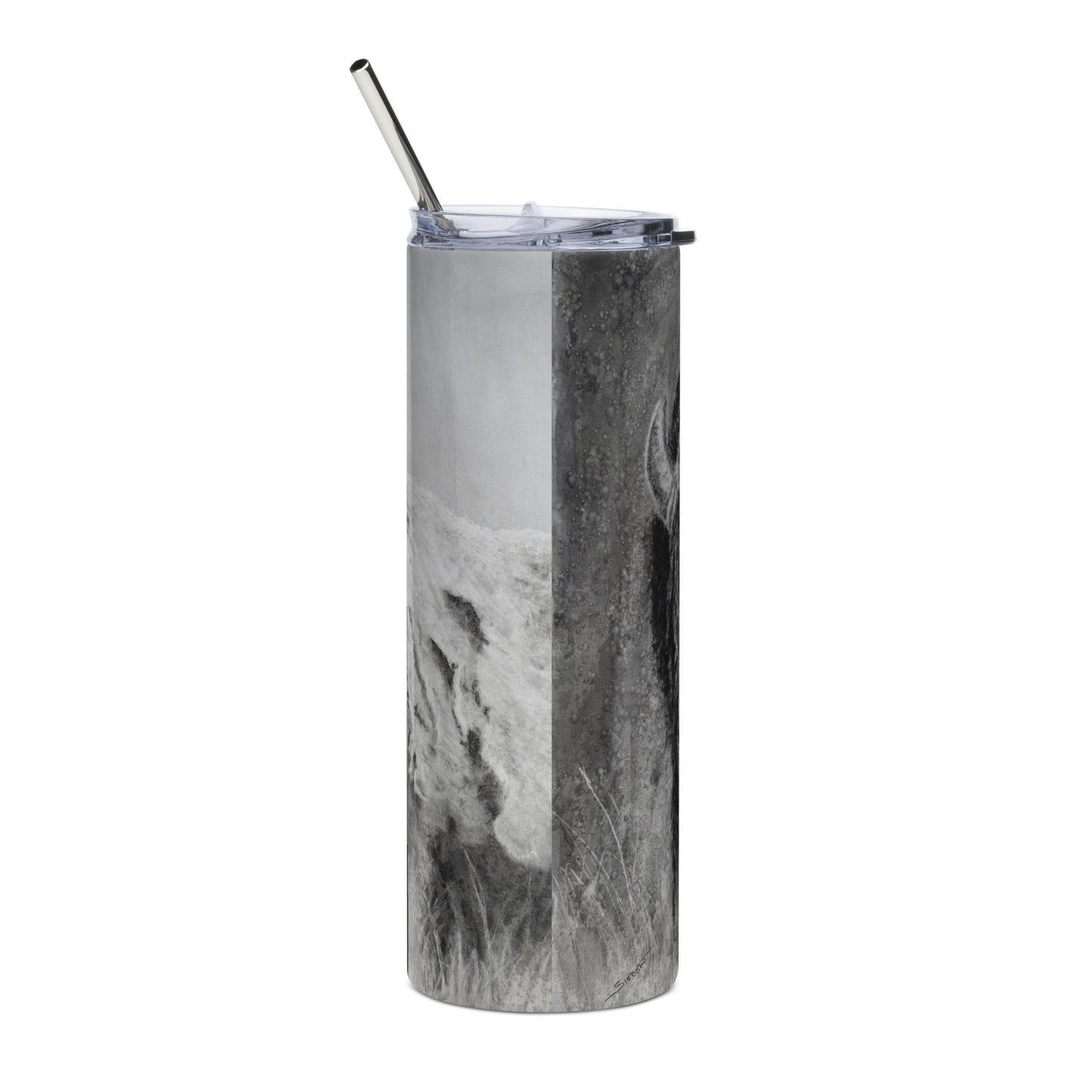 Stainless steel tumbler